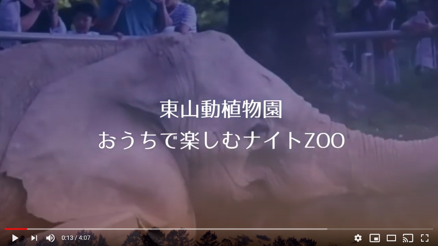 イベント 東山動植物園 おうちで楽しむナイトｚｏｏ が公式youtubeチャンネルで公開されています ちくさん